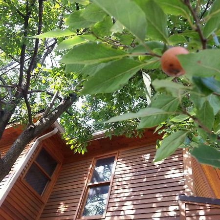 Persimmon Inn Bloomington Dış mekan fotoğraf