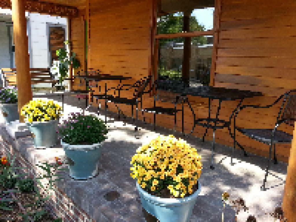 Persimmon Inn Bloomington Dış mekan fotoğraf