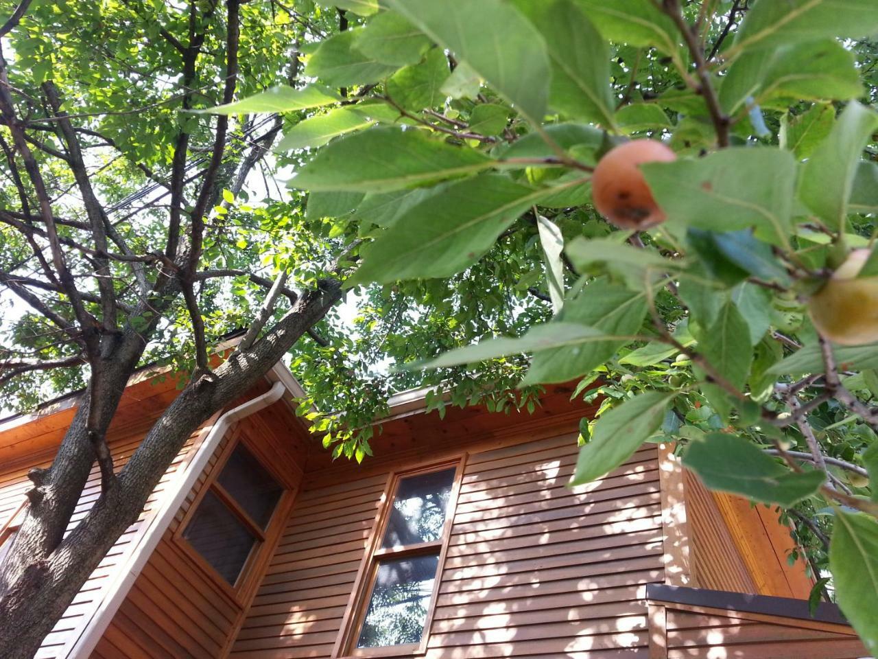 Persimmon Inn Bloomington Dış mekan fotoğraf